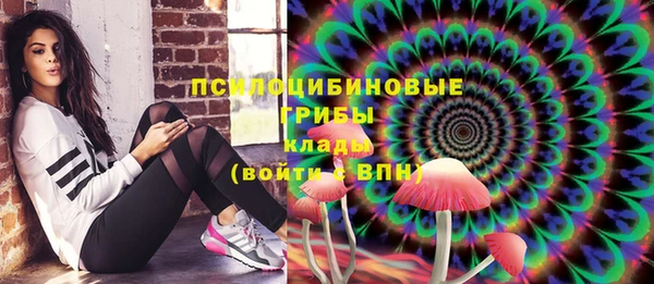 МДПВ Дмитровск