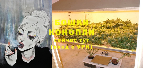 прущая мука Дмитриев