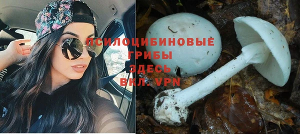меф Дмитров