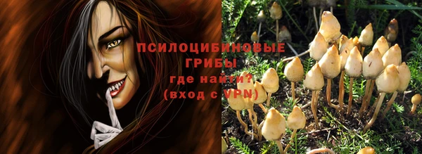 прущая мука Дмитриев