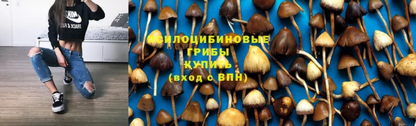 прущая мука Дмитриев