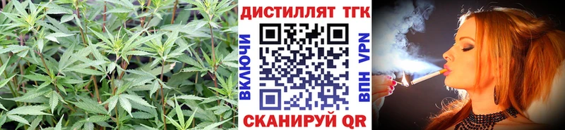 shop как зайти  Жигулёвск  Дистиллят ТГК Wax 